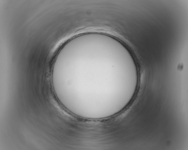 X0000112801498200908210950