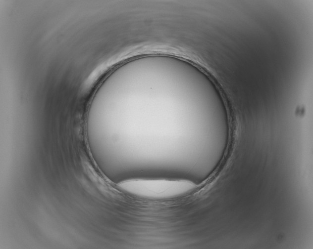X0000112801499200908210950