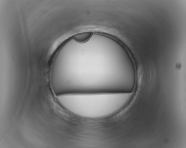 X0000112801501200908210950