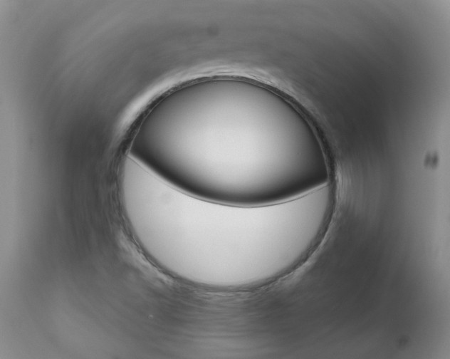 X0000112801502200908210950