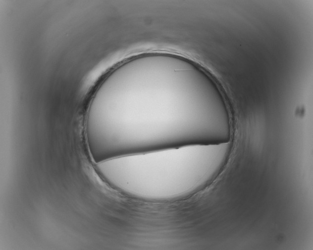 X0000112801503200908210950