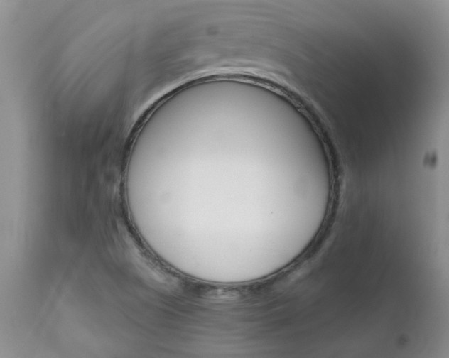 X0000112801505200908210950