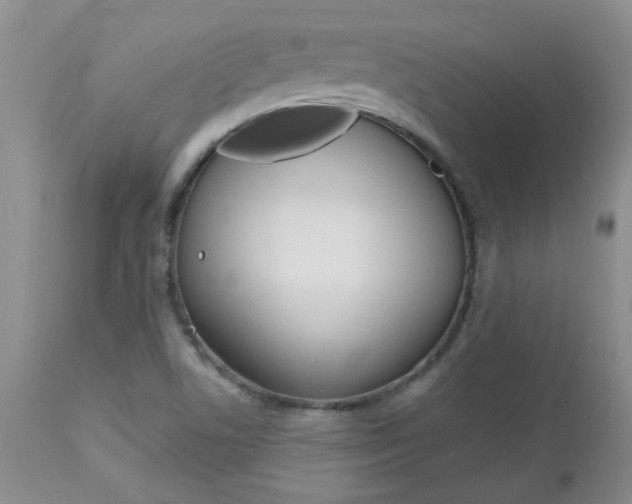 X0000112801506200908210950