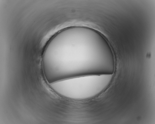 X0000112801507200908210951