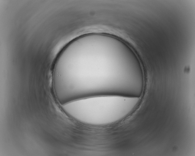 X0000112801509200908210951