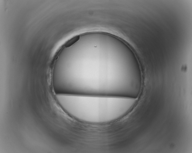 X0000112801510200908210951
