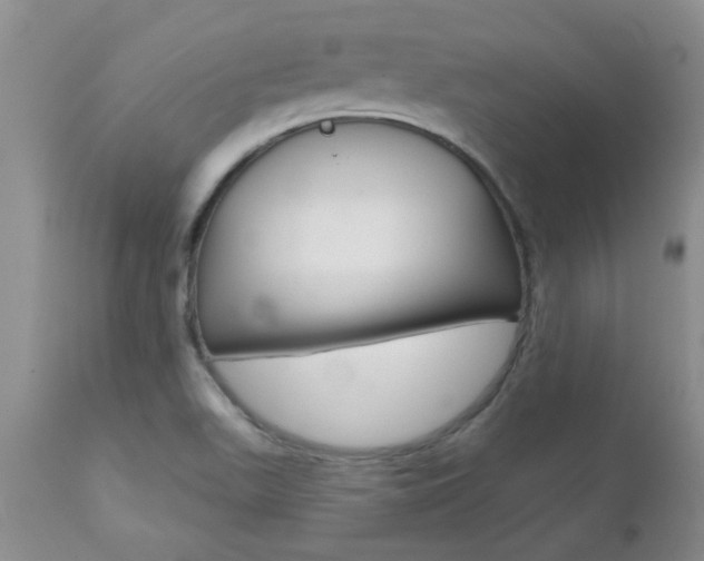 X0000112801511200908210951
