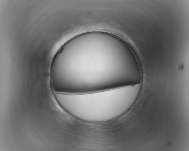 X0000112801512200908210951