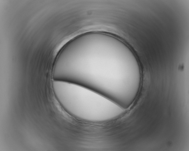 X0000112801513200908210951
