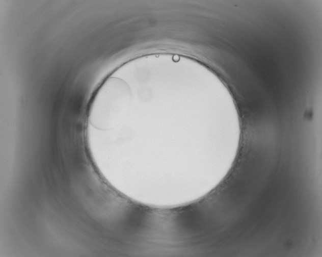 X0000112801514200908210951