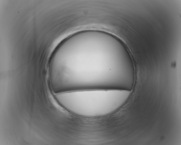 X0000112801515200908210951