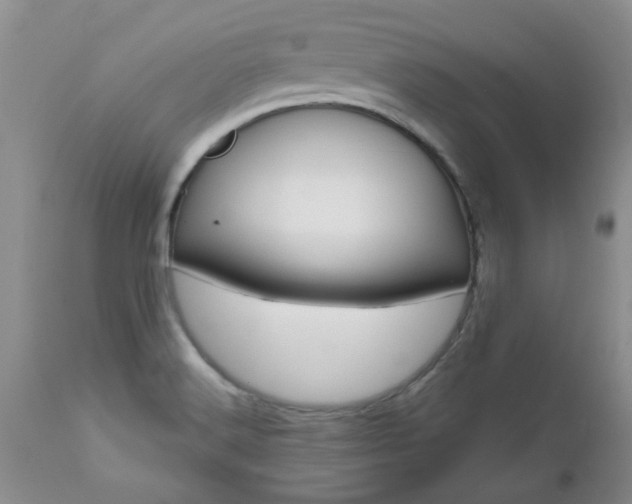 X0000112801516200908210951