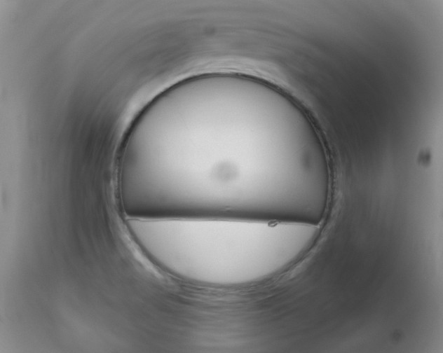X0000112801517200908210951