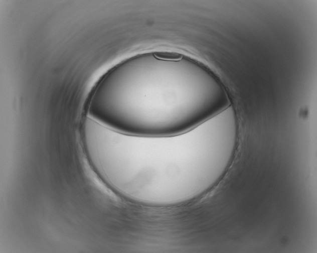 X0000112801518200908210951