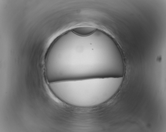 X0000112801519200908210951