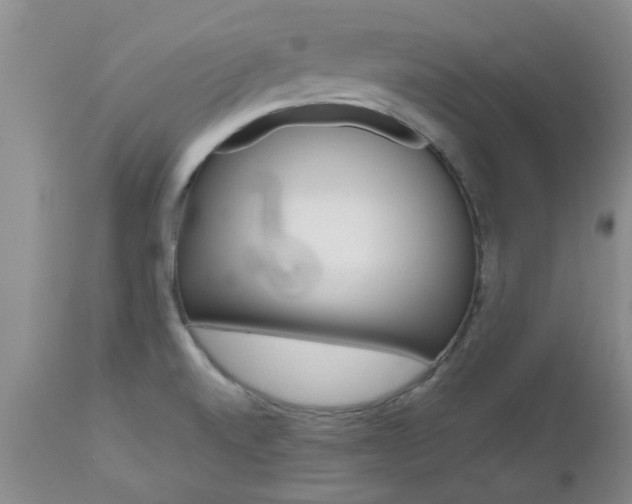 X0000112801520200908210951
