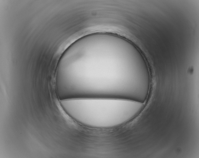 X0000112801521200908210951