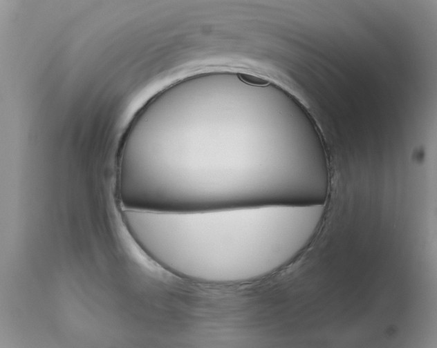 X0000112801523200908210951
