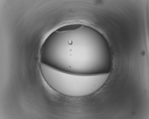 X0000112801524200908210951