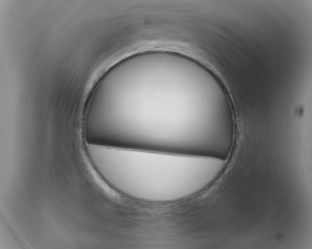 X0000112801525200908210951