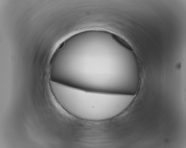 X0000112801526200908210951