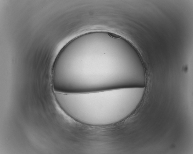 X0000112801527200908210951