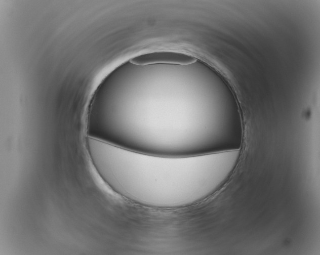 X0000112801528200908210951