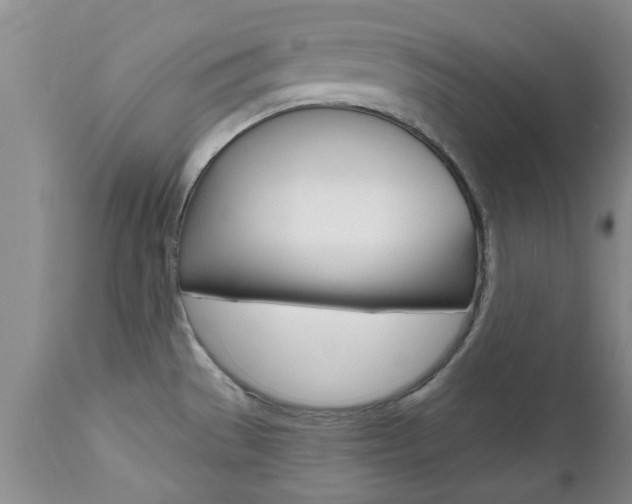 X0000112801529200908210951