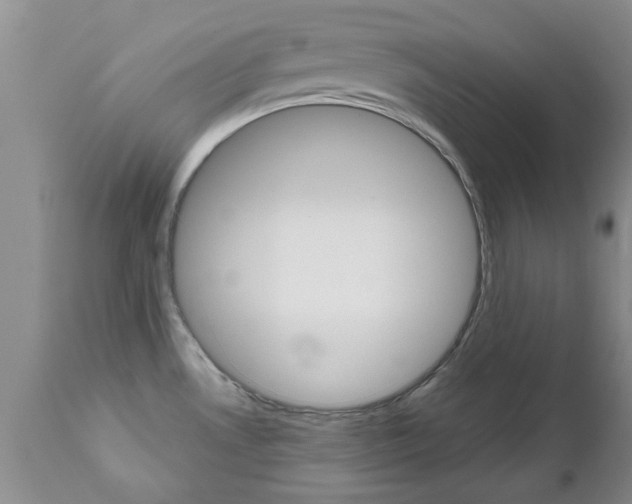 X0000112801530200908210951