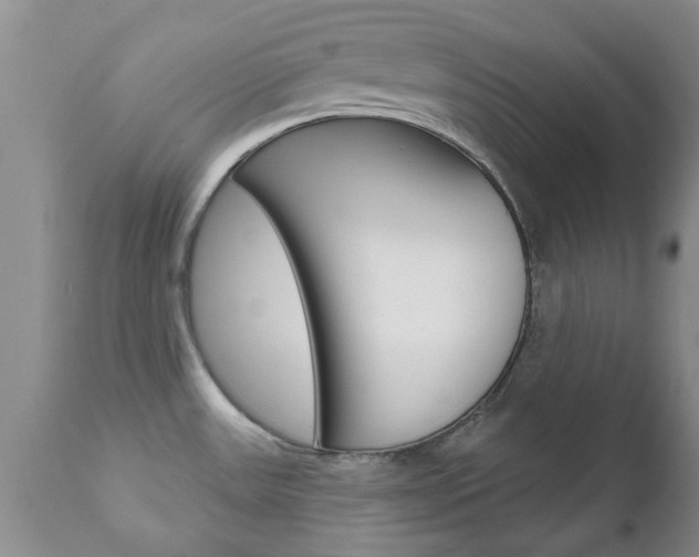X0000112801531200908210951