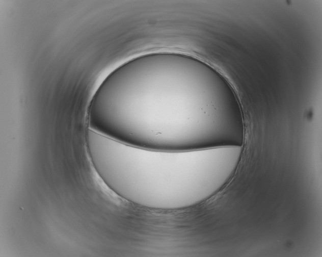 X0000112801532200908210951