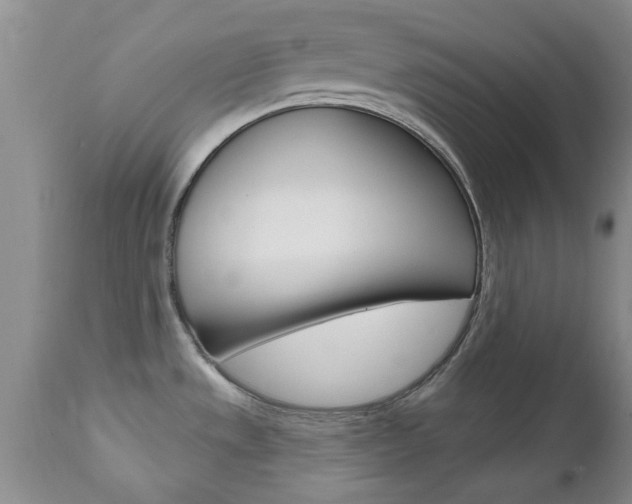 X0000112801533200908210951