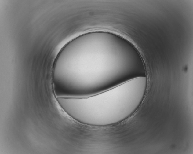 X0000112801534200908210951