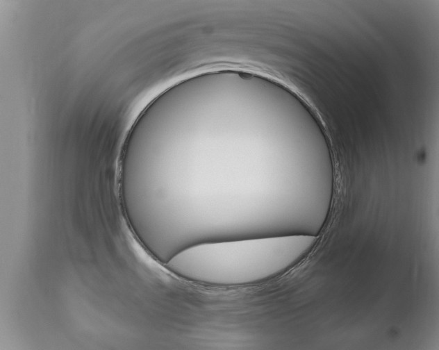 X0000112801535200908210951