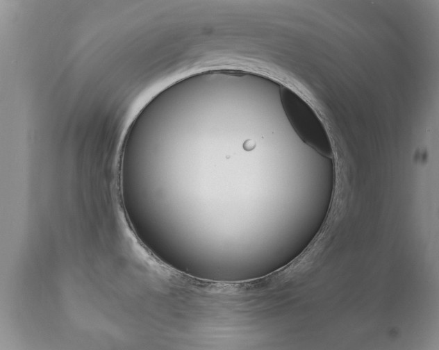 X0000112801536200908210951