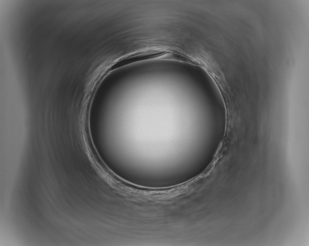 X0000112800001200908211143