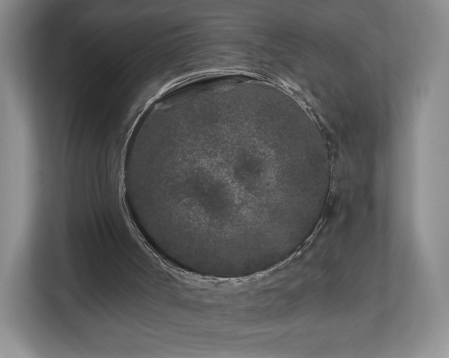 X0000112800002200908211143