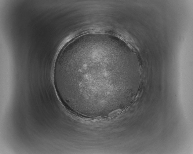 X0000112800003200908211143