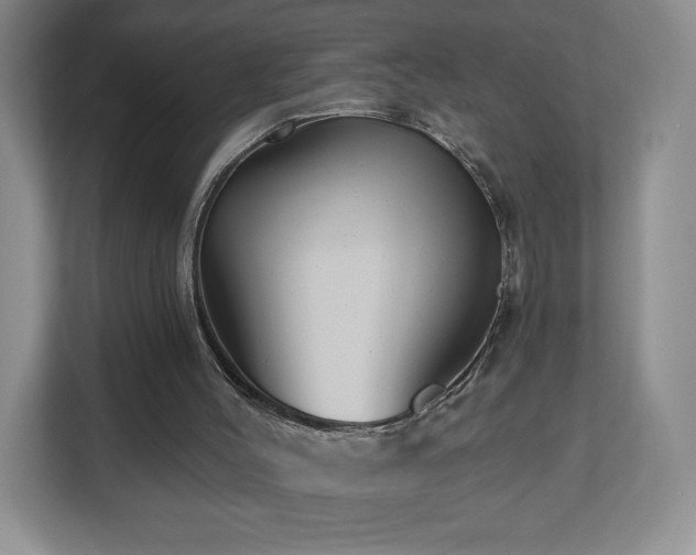 X0000112800004200908211143