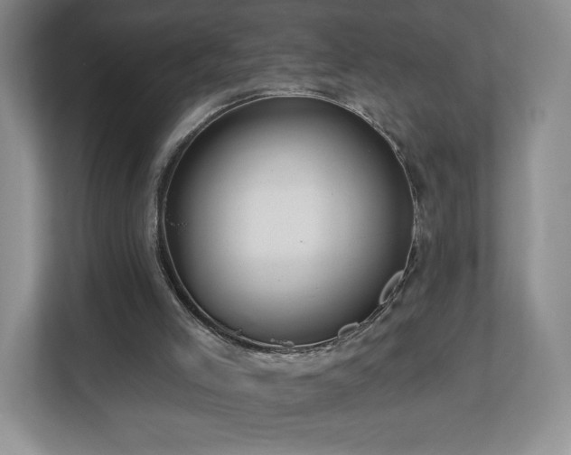 X0000112800005200908211143