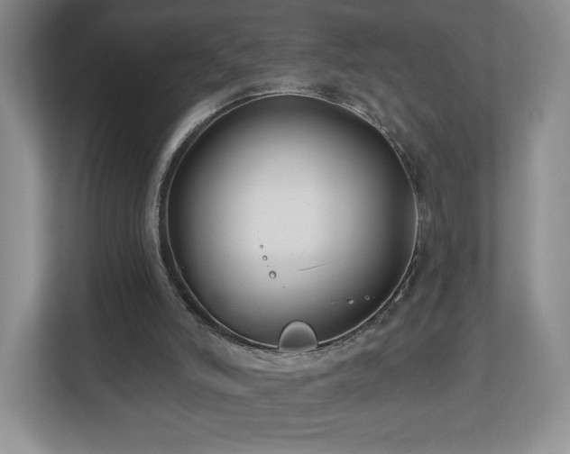 X0000112800006200908211143