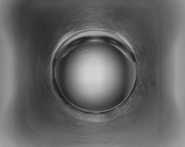 X0000112800008200908211143
