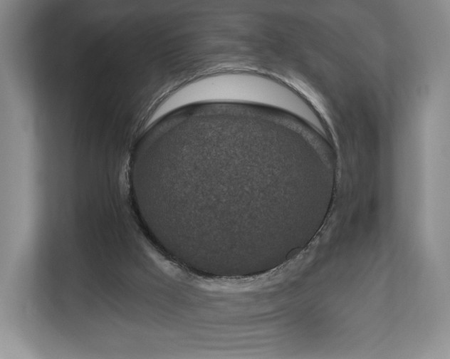 X0000112800009200908211143