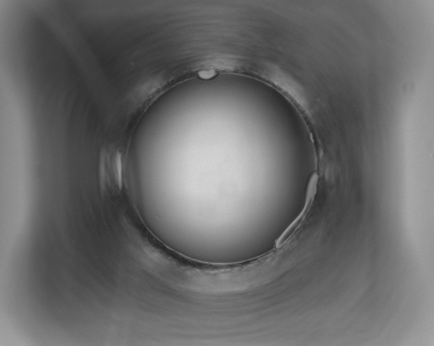 X0000112800013200908211143