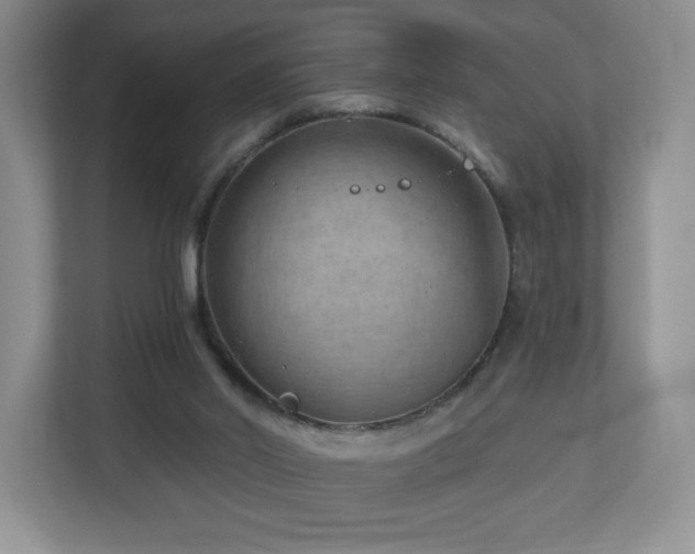 X0000112800014200908211143