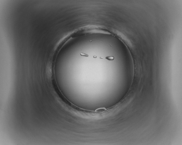 X0000112800015200908211143