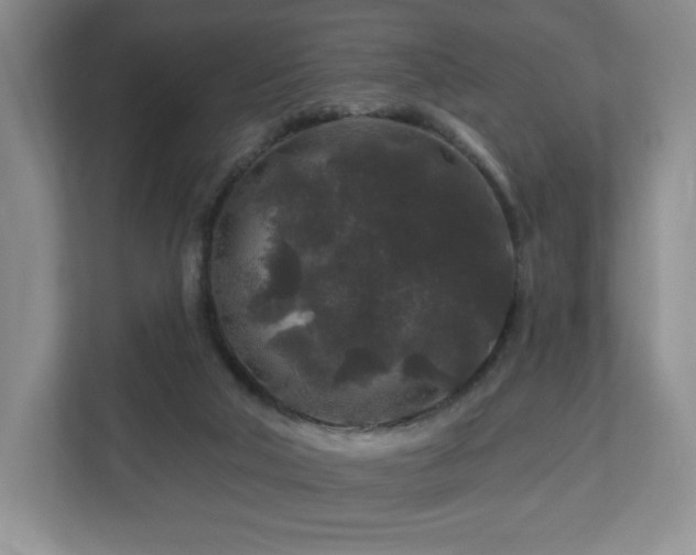 X0000112800018200908211143