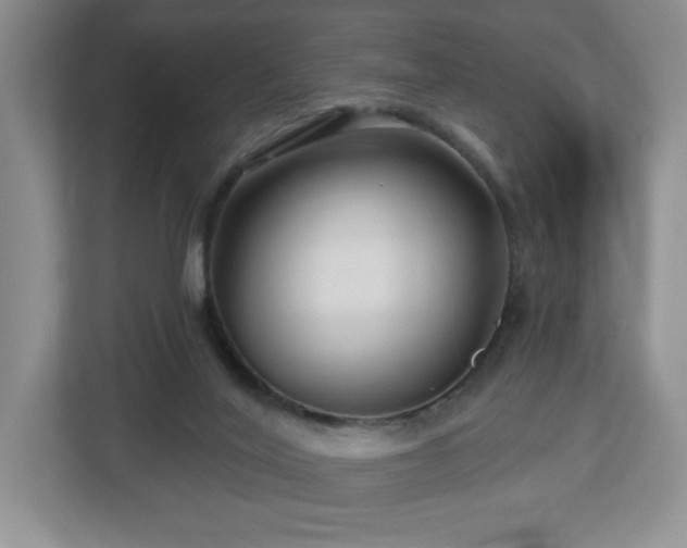 X0000112800020200908211143