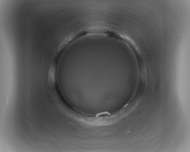 X0000112800023200908211143
