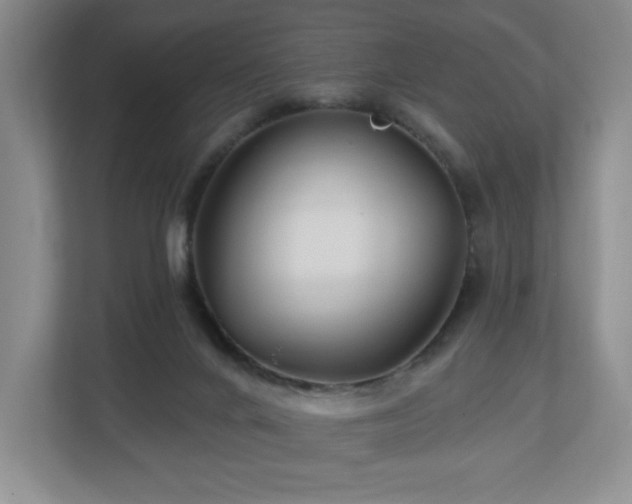 X0000112800024200908211143